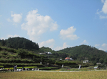 IMG_1335.jpg