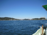 IMG_1715.jpg