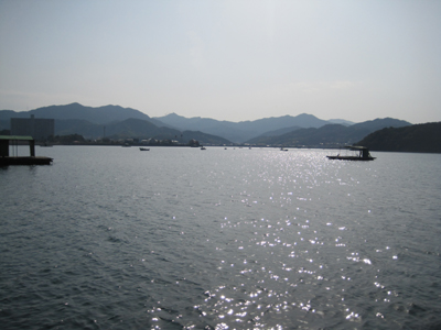 IMG_3236.jpg