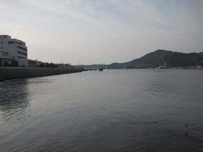 IMG_3254.jpg